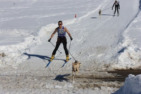 La Pesse 2014  Course de chiens de traineau  (dimanche 09/03/2014), IMG_4563