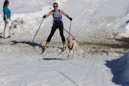 La Pesse 2014  Course de chiens de traineau  (dimanche 09/03/2014), IMG_4564