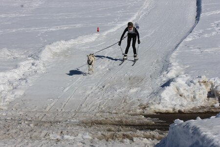 La Pesse 2014  Course de chiens de traineau  (dimanche 09/03/2014), IMG_4565