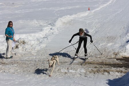 La Pesse 2014  Course de chiens de traineau  (dimanche 09/03/2014), IMG_4566