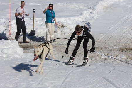 La Pesse 2014  Course de chiens de traineau  (dimanche 09/03/2014), IMG_4567