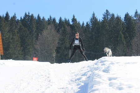 La Pesse 2014  Course de chiens de traineau  (dimanche 09/03/2014), IMG_4570