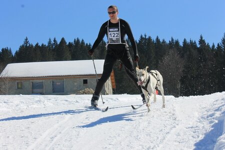 La Pesse 2014  Course de chiens de traineau  (dimanche 09/03/2014), IMG_4572