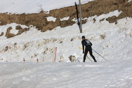 La Pesse 2014  Course de chiens de traineau  (dimanche 09/03/2014), IMG_4574