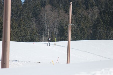 La Pesse 2014  Course de chiens de traineau  (dimanche 09/03/2014), IMG_4575