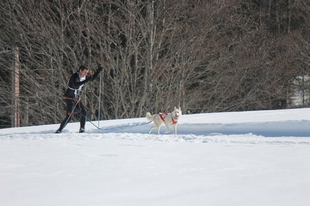 La Pesse 2014  Course de chiens de traineau  (dimanche 09/03/2014), IMG_4578