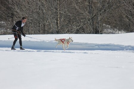 La Pesse 2014  Course de chiens de traineau  (dimanche 09/03/2014), IMG_4579
