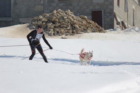 La Pesse 2014  Course de chiens de traineau  (dimanche 09/03/2014), IMG_4581