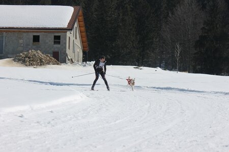 La Pesse 2014  Course de chiens de traineau  (dimanche 09/03/2014), IMG_4582