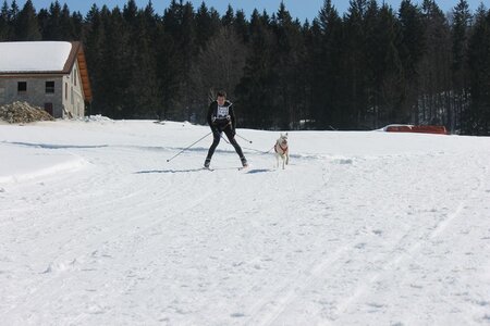 La Pesse 2014  Course de chiens de traineau  (dimanche 09/03/2014), IMG_4584