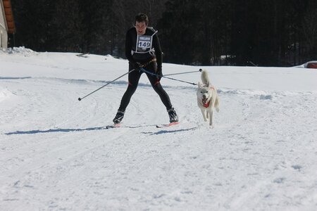 La Pesse 2014  Course de chiens de traineau  (dimanche 09/03/2014), IMG_4585