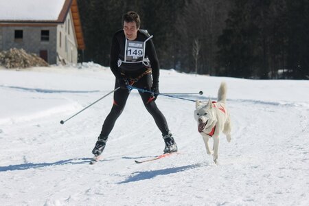 La Pesse 2014  Course de chiens de traineau  (dimanche 09/03/2014), IMG_4586