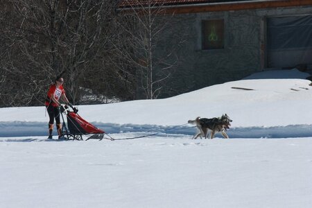 La Pesse 2014  Course de chiens de traineau  (dimanche 09/03/2014), IMG_4593