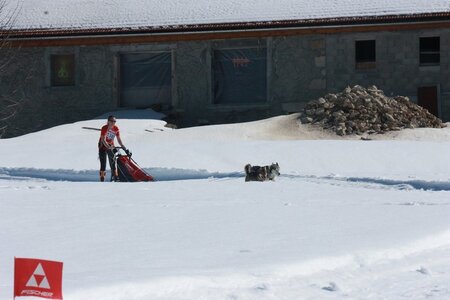 La Pesse 2014  Course de chiens de traineau  (dimanche 09/03/2014), IMG_4594