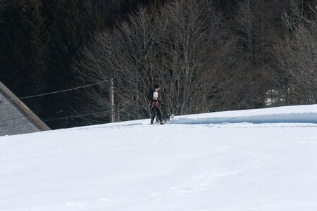 La Pesse 2014  Course de chiens de traineau  (dimanche 09/03/2014), IMG_4595