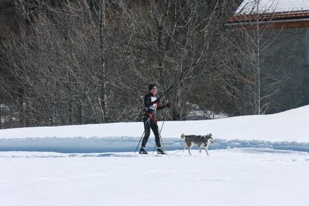 La Pesse 2014  Course de chiens de traineau  (dimanche 09/03/2014), IMG_4596