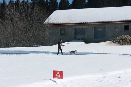 La Pesse 2014  Course de chiens de traineau  (dimanche 09/03/2014), IMG_4597