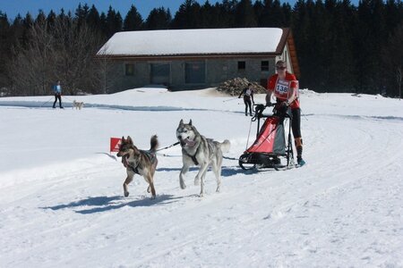 La Pesse 2014  Course de chiens de traineau  (dimanche 09/03/2014), IMG_4599