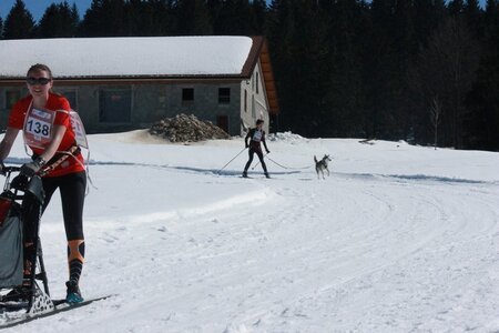 La Pesse 2014  Course de chiens de traineau  (dimanche 09/03/2014), IMG_4600