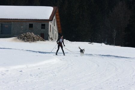 La Pesse 2014  Course de chiens de traineau  (dimanche 09/03/2014), IMG_4601