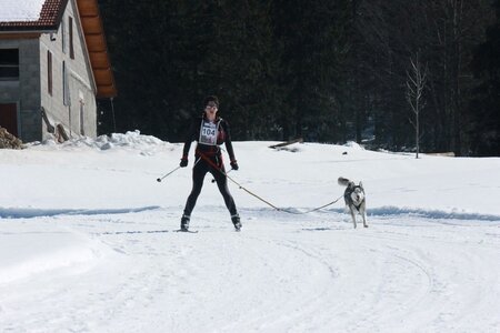 La Pesse 2014  Course de chiens de traineau  (dimanche 09/03/2014), IMG_4602