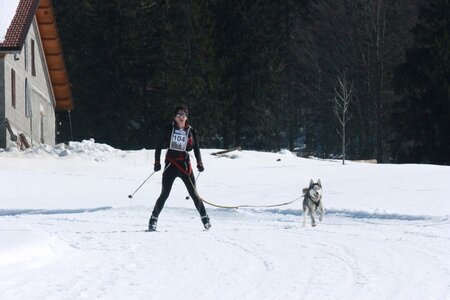 La Pesse 2014  Course de chiens de traineau  (dimanche 09/03/2014), IMG_4603