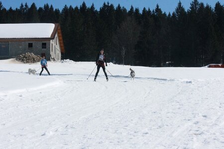La Pesse 2014  Course de chiens de traineau  (dimanche 09/03/2014), IMG_4604