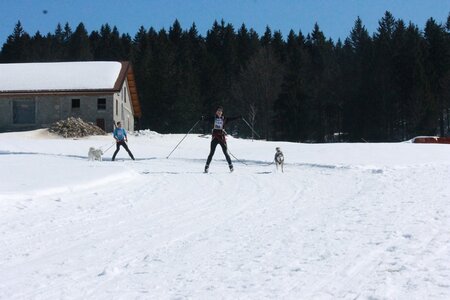 La Pesse 2014  Course de chiens de traineau  (dimanche 09/03/2014), IMG_4605