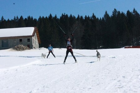 La Pesse 2014  Course de chiens de traineau  (dimanche 09/03/2014), IMG_4607