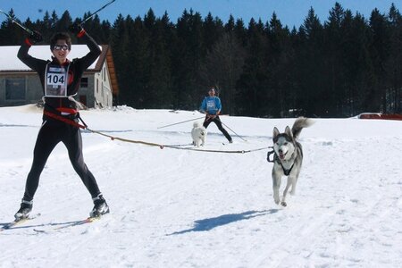 La Pesse 2014  Course de chiens de traineau  (dimanche 09/03/2014), IMG_4609