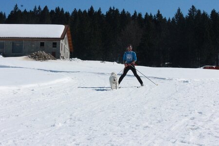 La Pesse 2014  Course de chiens de traineau  (dimanche 09/03/2014), IMG_4611