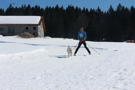 La Pesse 2014  Course de chiens de traineau  (dimanche 09/03/2014), IMG_4612