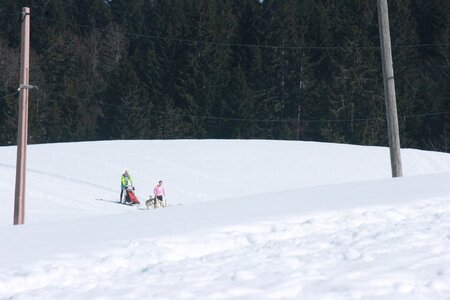 La Pesse 2014  Course de chiens de traineau  (dimanche 09/03/2014), IMG_4617