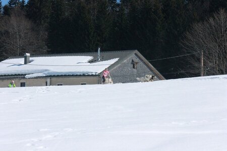 La Pesse 2014  Course de chiens de traineau  (dimanche 09/03/2014), IMG_4619