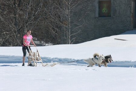 La Pesse 2014  Course de chiens de traineau  (dimanche 09/03/2014), IMG_4622