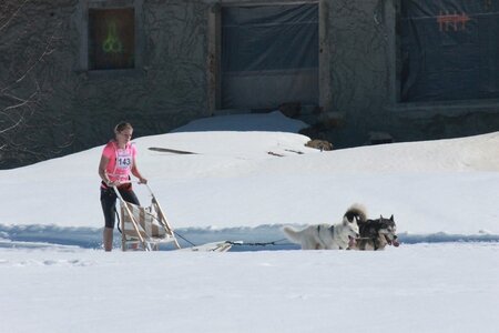 La Pesse 2014  Course de chiens de traineau  (dimanche 09/03/2014), IMG_4623