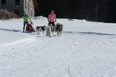 La Pesse 2014  Course de chiens de traineau  (dimanche 09/03/2014), IMG_4628