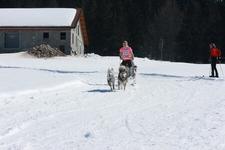 La Pesse 2014  Course de chiens de traineau  (dimanche 09/03/2014), IMG_4629
