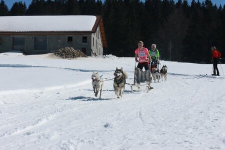 La Pesse 2014  Course de chiens de traineau  (dimanche 09/03/2014), IMG_4630