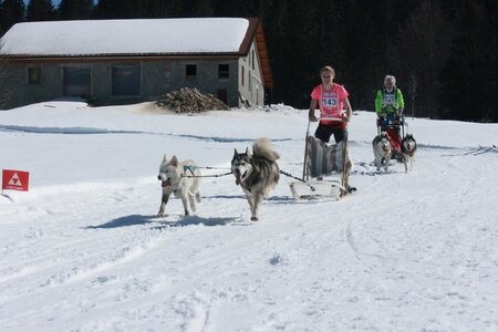 La Pesse 2014  Course de chiens de traineau  (dimanche 09/03/2014), IMG_4631