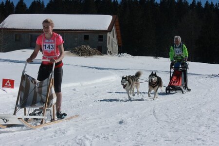 La Pesse 2014  Course de chiens de traineau  (dimanche 09/03/2014), IMG_4633