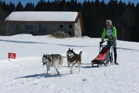 La Pesse 2014  Course de chiens de traineau  (dimanche 09/03/2014), IMG_4634