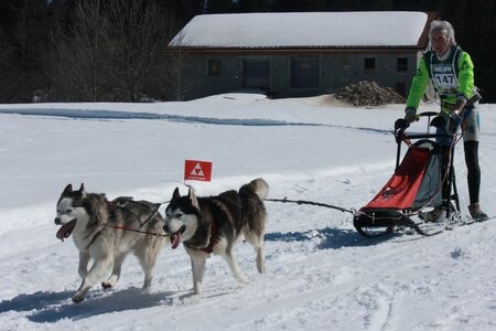 La Pesse 2014  Course de chiens de traineau  (dimanche 09/03/2014), IMG_4635
