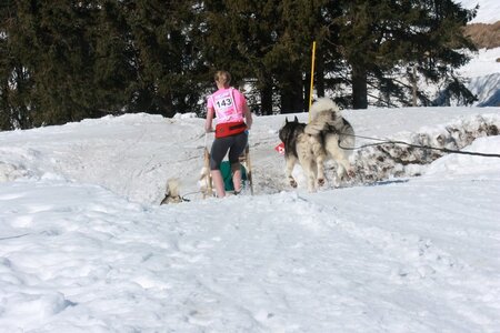 La Pesse 2014  Course de chiens de traineau  (dimanche 09/03/2014), IMG_4636