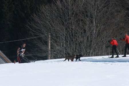 La Pesse 2014  Course de chiens de traineau  (dimanche 09/03/2014), IMG_4642