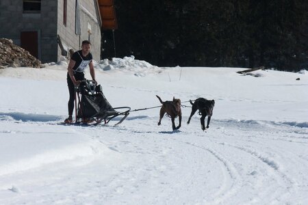 La Pesse 2014  Course de chiens de traineau  (dimanche 09/03/2014), IMG_4644