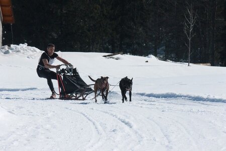 La Pesse 2014  Course de chiens de traineau  (dimanche 09/03/2014), IMG_4645