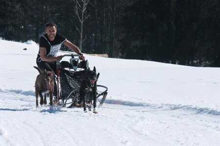 La Pesse 2014  Course de chiens de traineau  (dimanche 09/03/2014), IMG_4646