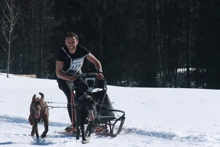 La Pesse 2014  Course de chiens de traineau  (dimanche 09/03/2014), IMG_4647