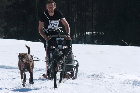 La Pesse 2014  Course de chiens de traineau  (dimanche 09/03/2014), IMG_4648